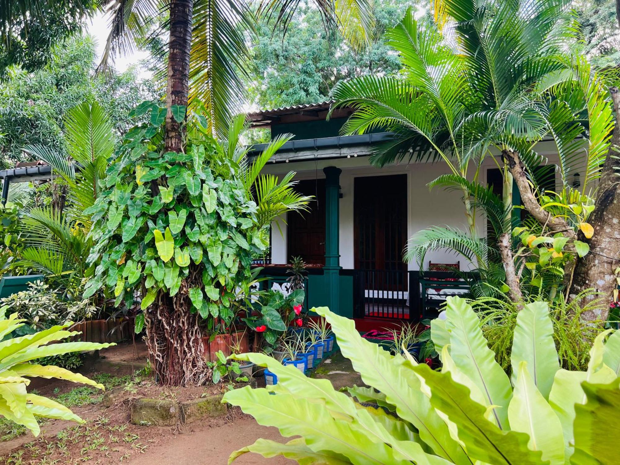 Sigiri Budget Homestay Sigiriya Exterior photo